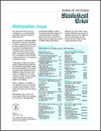 Statistical Brief: Metropolitan Areas