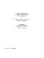 Cell Suppression and Audit Programs used for Economic Magnitude Data