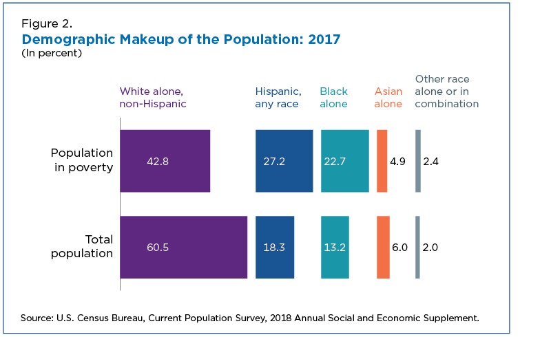 Figure 2. Demographic Makeup of the Population: 2017