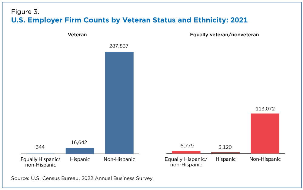 Figure 3. U.S. Employer Firm Counts by Veteran Status and Ethnicity: 2021